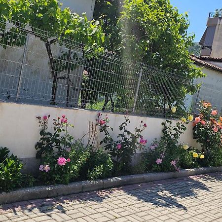 Aliaj Guest House Berat Ngoại thất bức ảnh