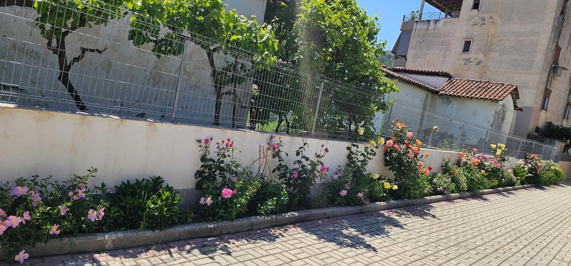 Aliaj Guest House Berat Ngoại thất bức ảnh